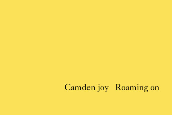 Camden Joy - "Lincoln"